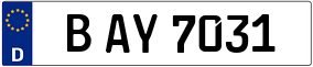 Trailer License Plate